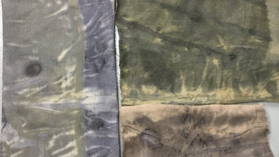 What Makes the Colors in Natural Dyes?  Part II-Tannins